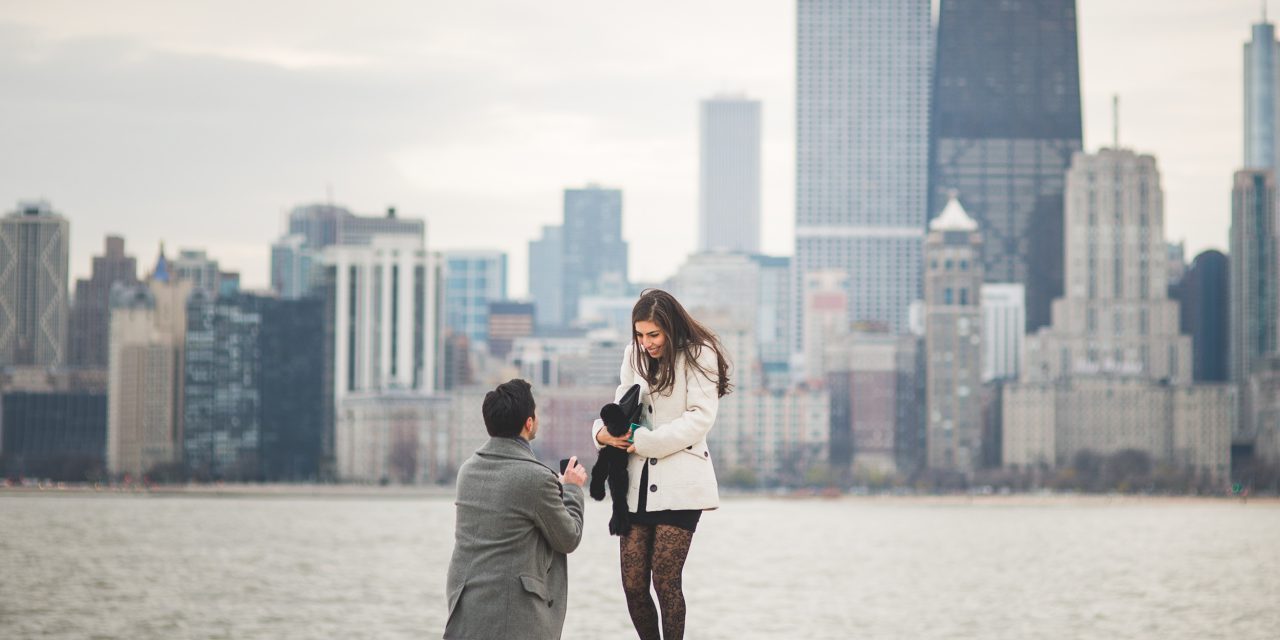 Four Videos and a YES