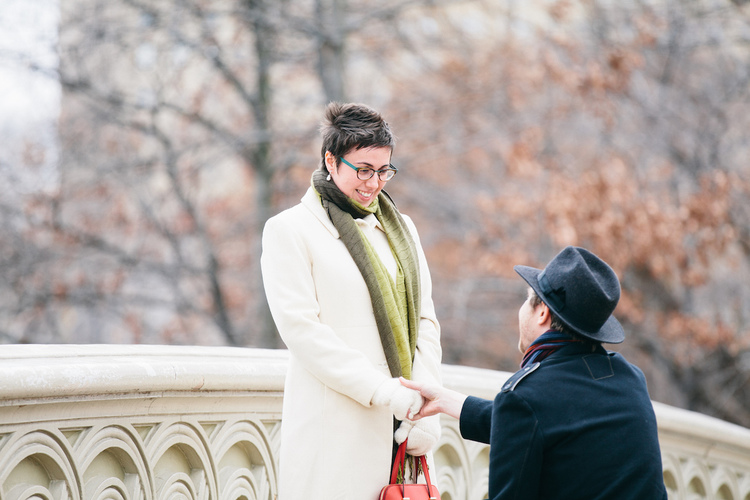Special Proposal on Bow Bridge | New York City
