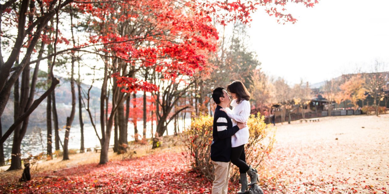 Love Among the Leaves in Seoul
