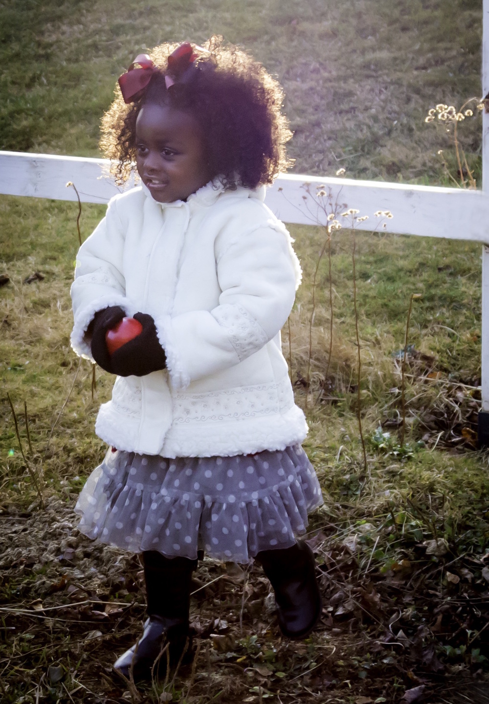   Photo:&nbsp;Nancy Hurry-Hogan  