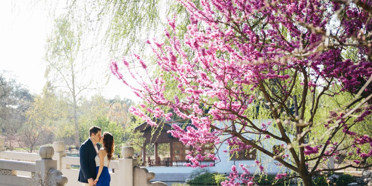 An Intimate L.A. Proposal