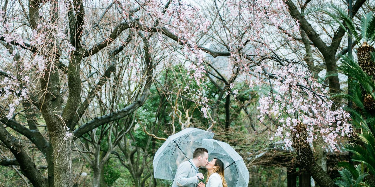 A Tokyo Anniversary Under the Cherry Blossoms