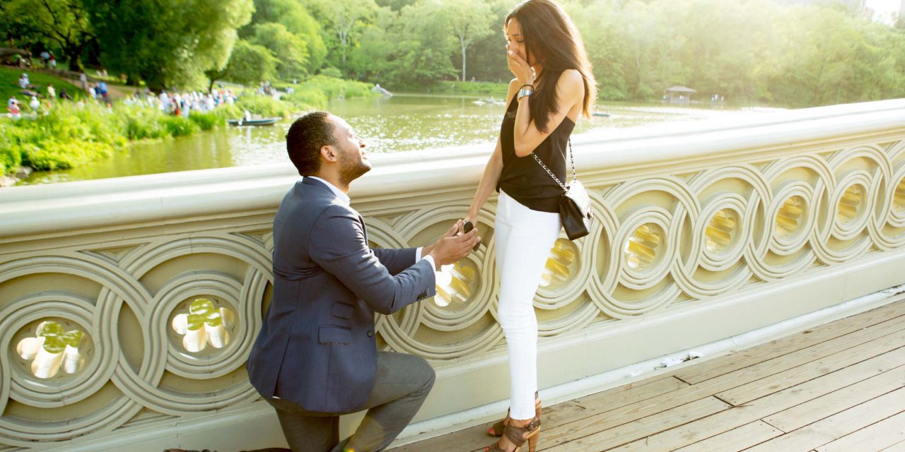 A Central Park Proposal