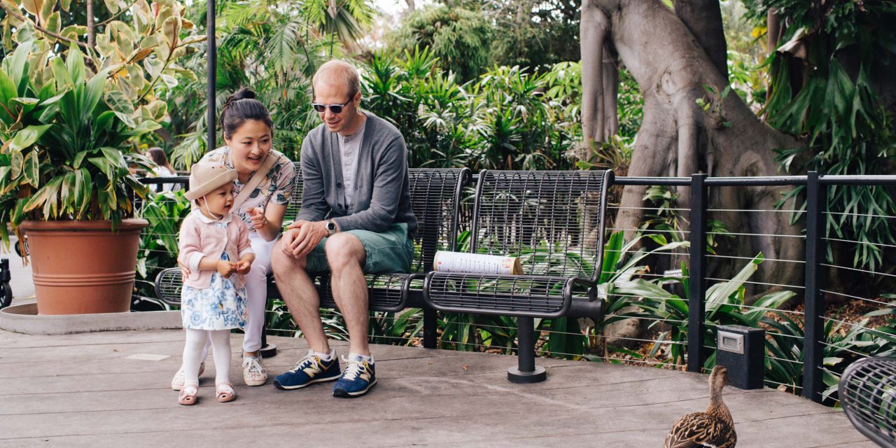 Family Fun at the San Diego Zoo