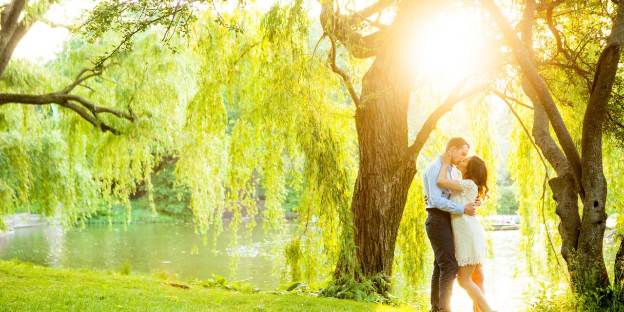 A Dreamy, Sun-Dappled Central Park Engagement