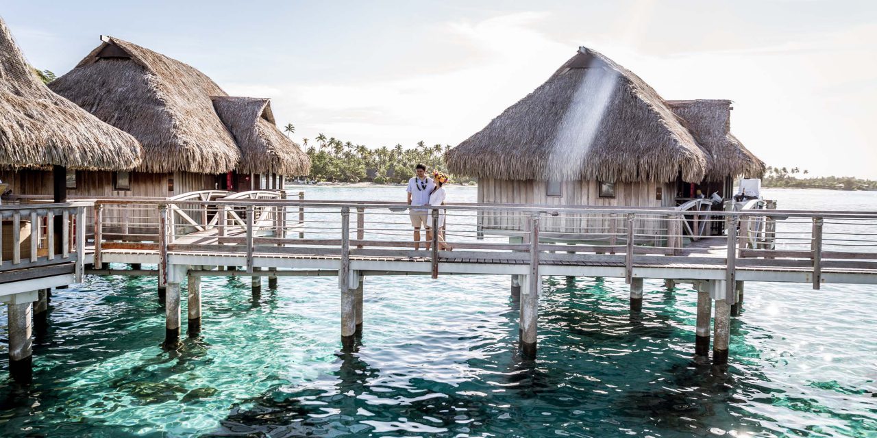 Why You Should Book a Ticket to Mo’orea