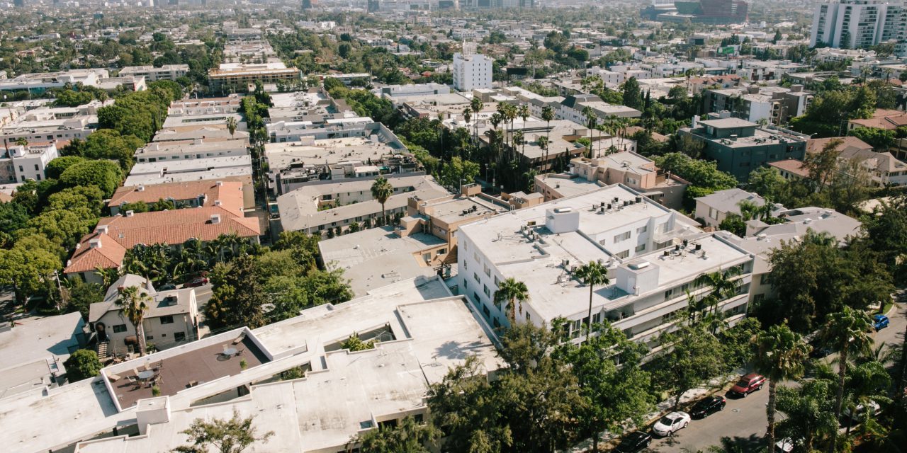 Photographer Q&A Series: Katie in Los Angeles