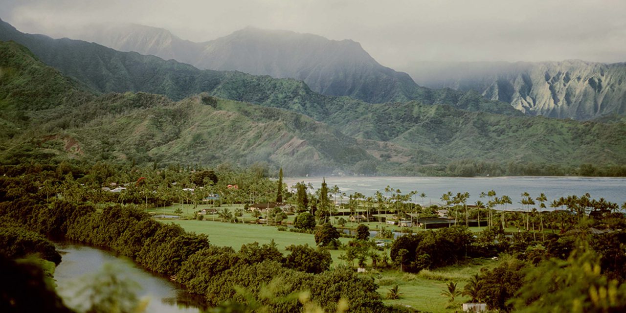 Photographer Q&A Series: Brigitte In Kauai