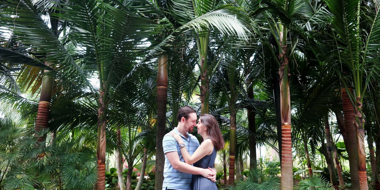 Long Distance Love in Singapore