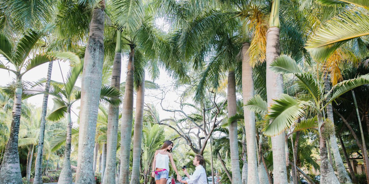 Hearts Wide Open For A Romantic Island Proposal