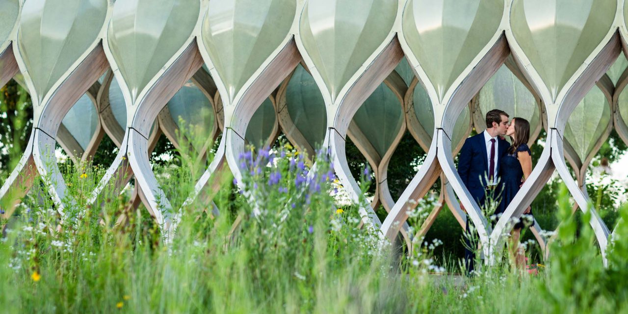 A Dreamy Chicago Surprise Proposal