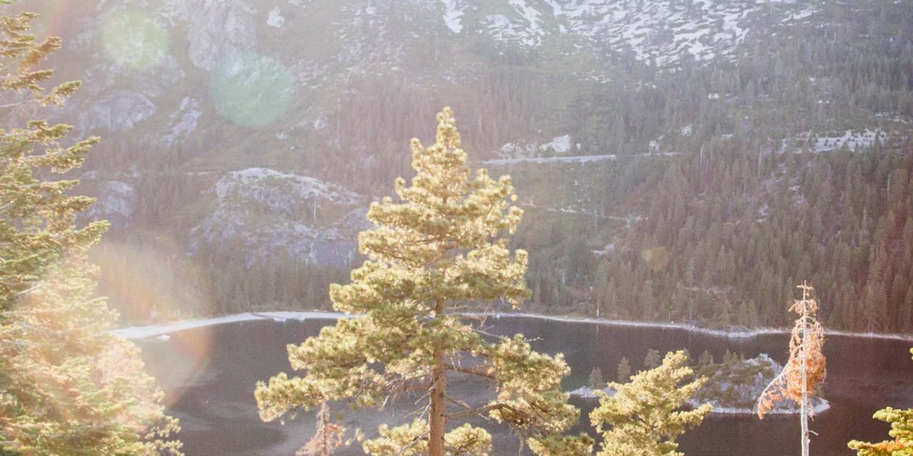 Photographer Q&A Series: Carly in Lake Tahoe