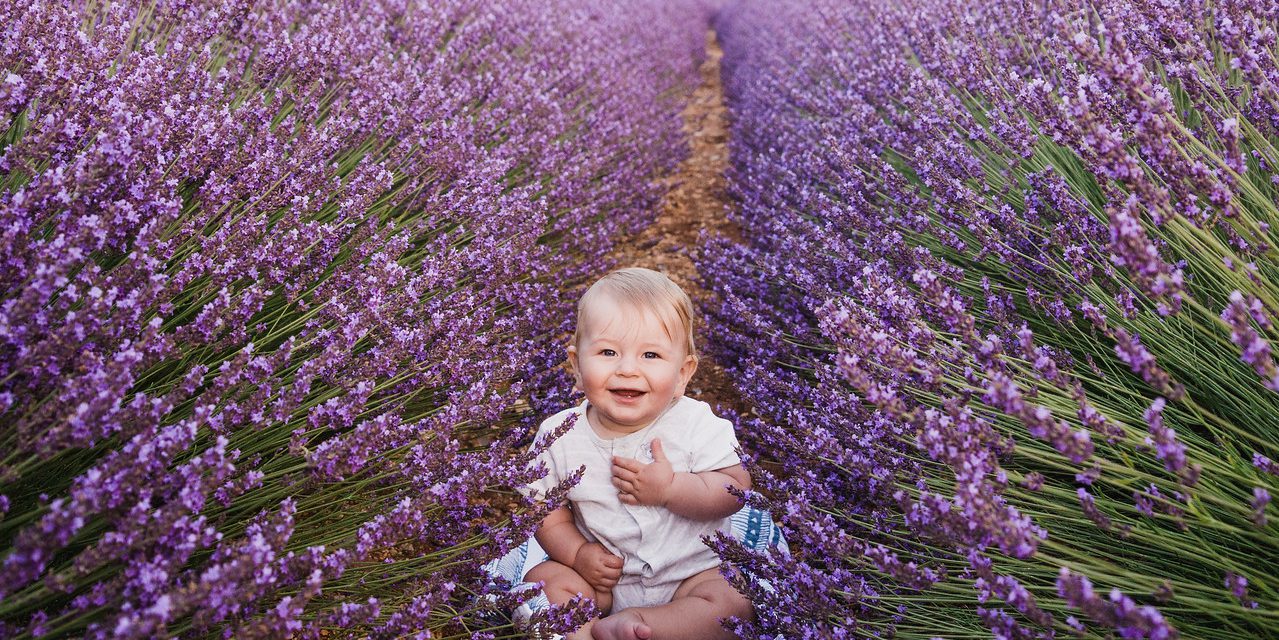 The Top 10 Cutest Tiny Traveller Photos of 2017