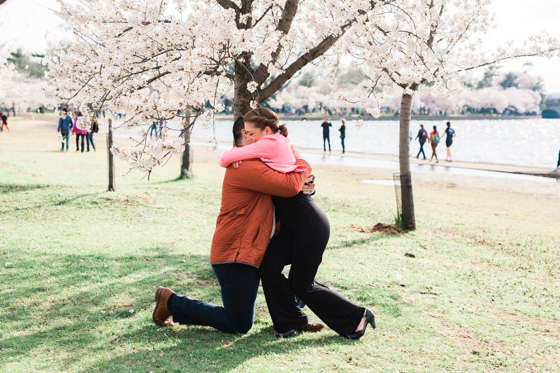 Couple hugging under cherry blossom trees in a park in Washington, DC, USA