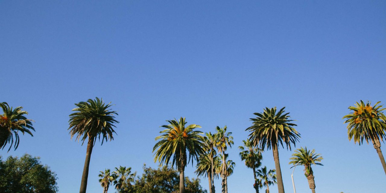 Best Things to Do in Los Angeles – Guide to Visiting Los Angeles
