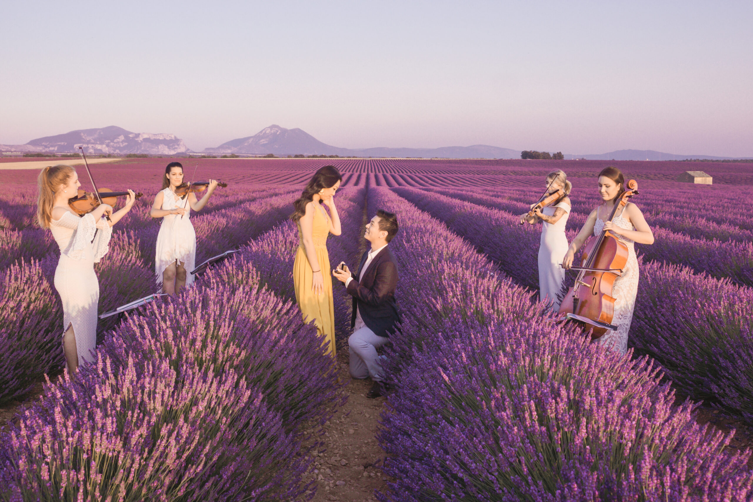A Proposal in the Lavender Fields of Provence that is Sure to Blow your Mind