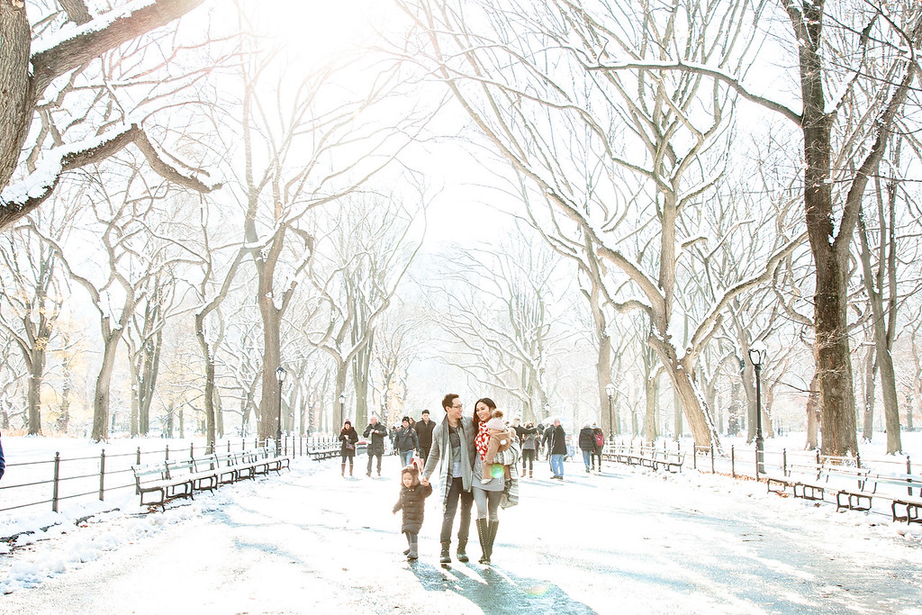 Things to Do in New York in January