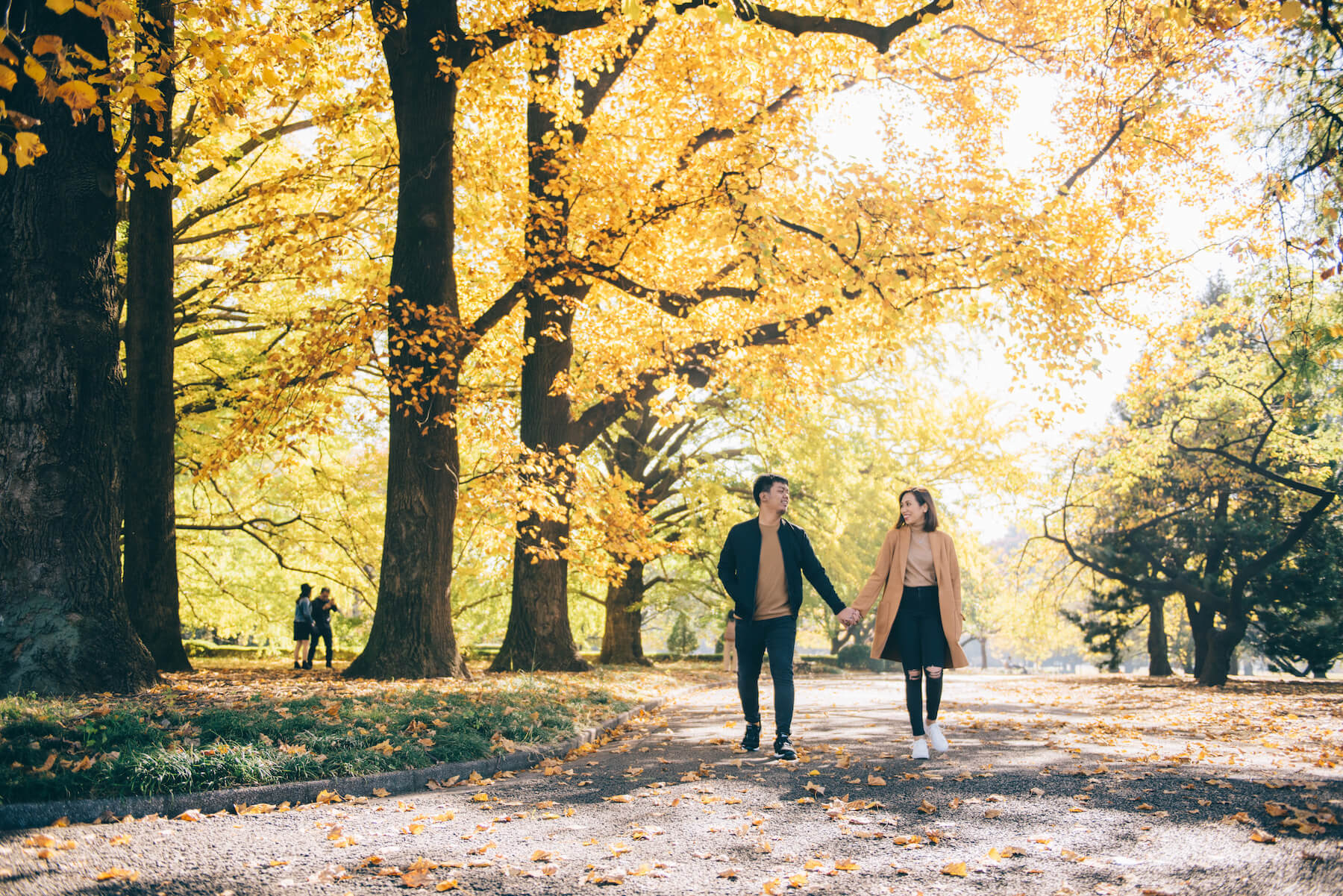 Couple walking and holding hands in Shinjuku Gyoen Park, Tokyo, Japan