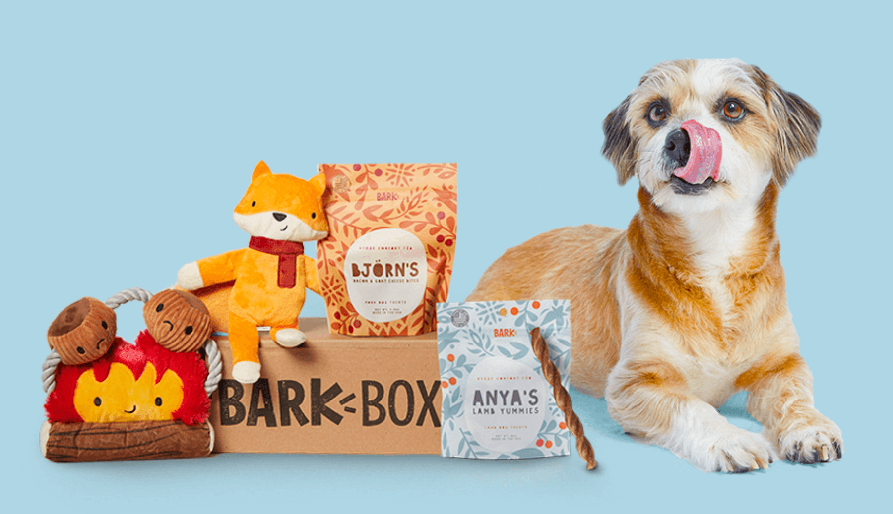 image of bark box gift box for dogs