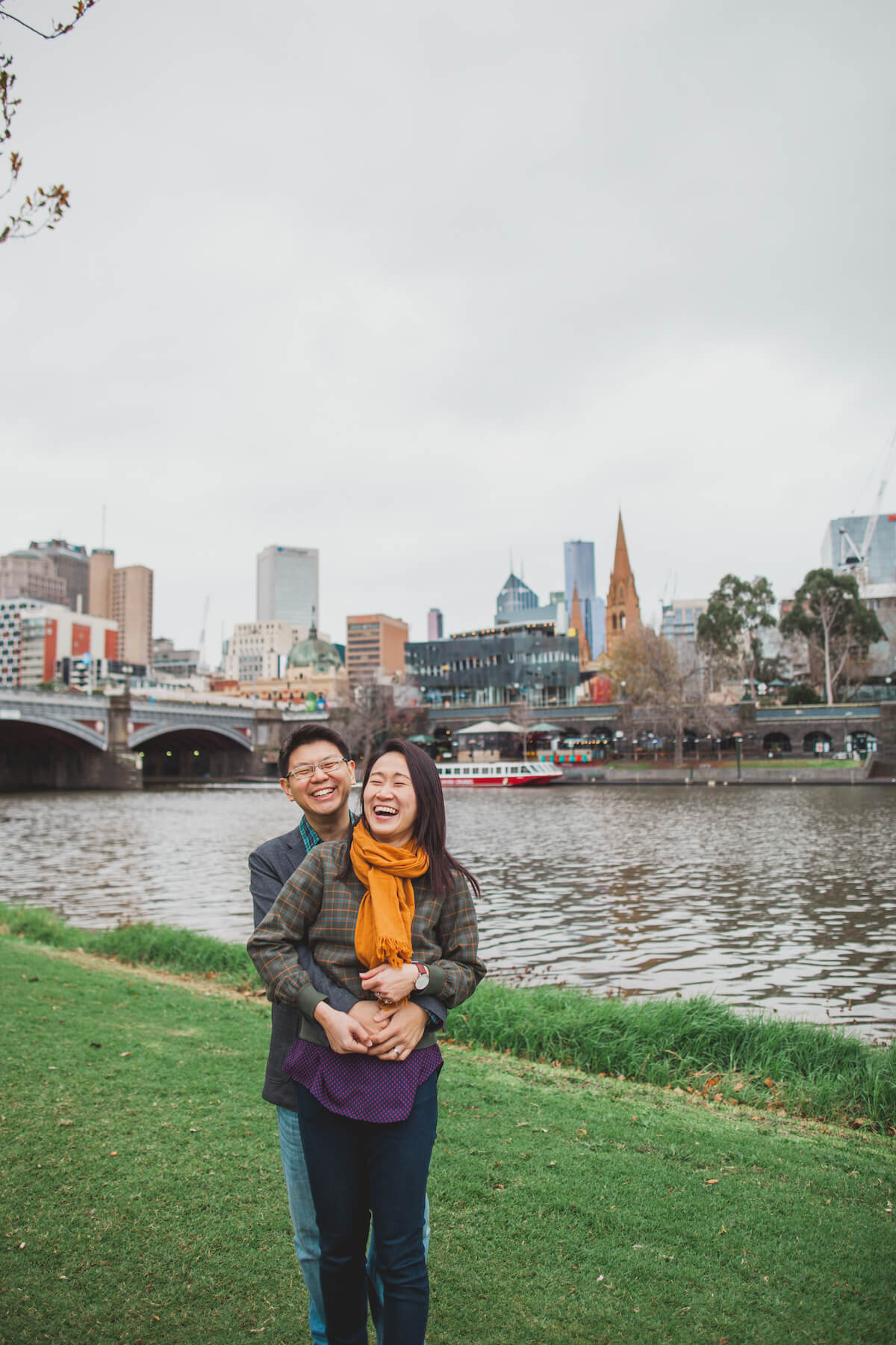 Koala bear in Sydney Australia