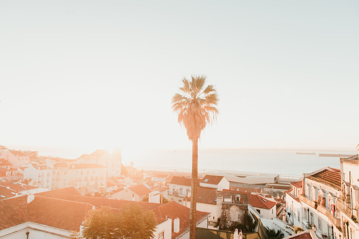 The Best Travel Quotes With Photos