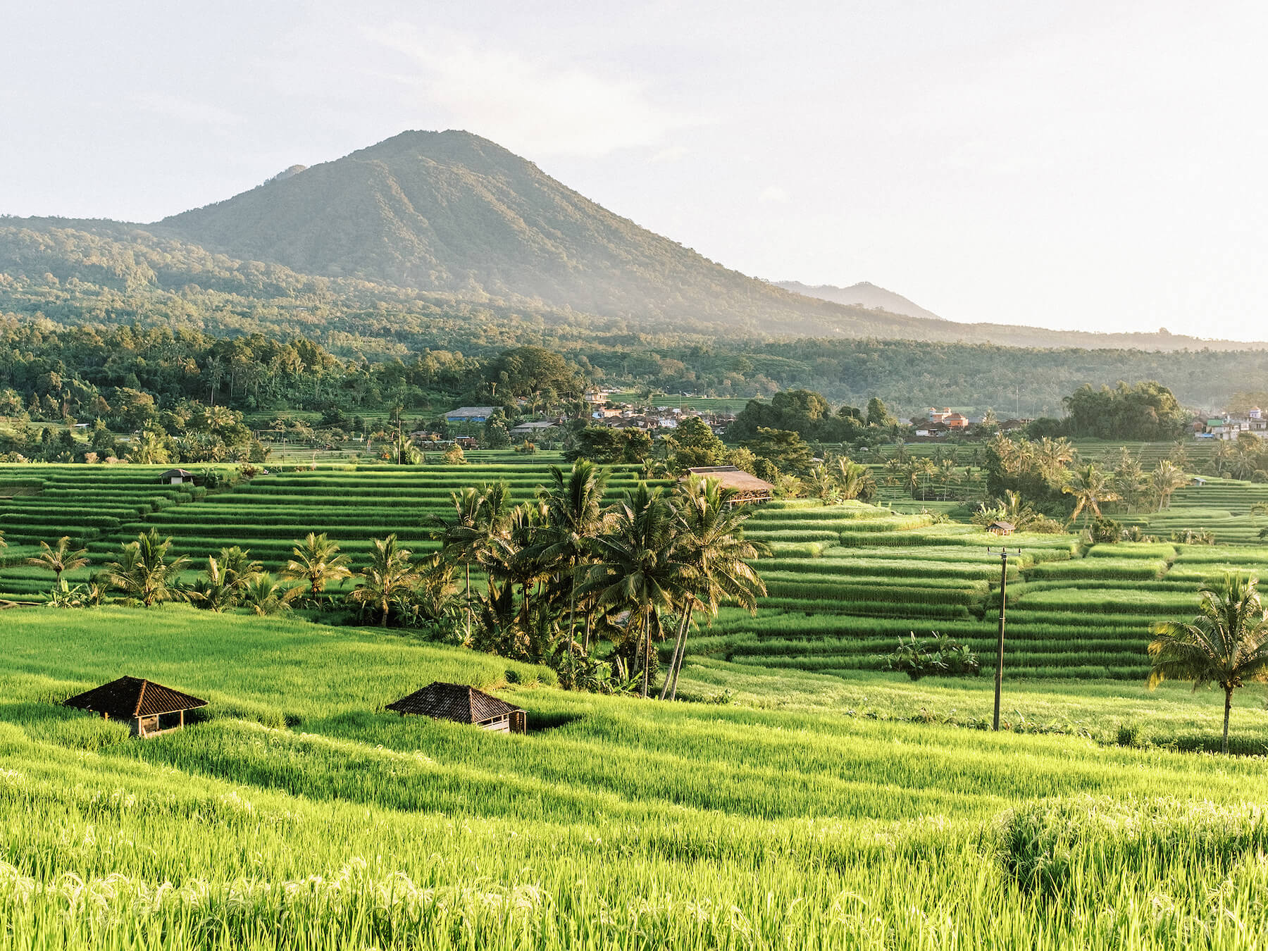 Travel home decor, fine art print of Bali Jatiluwih in Bali, Indonesia