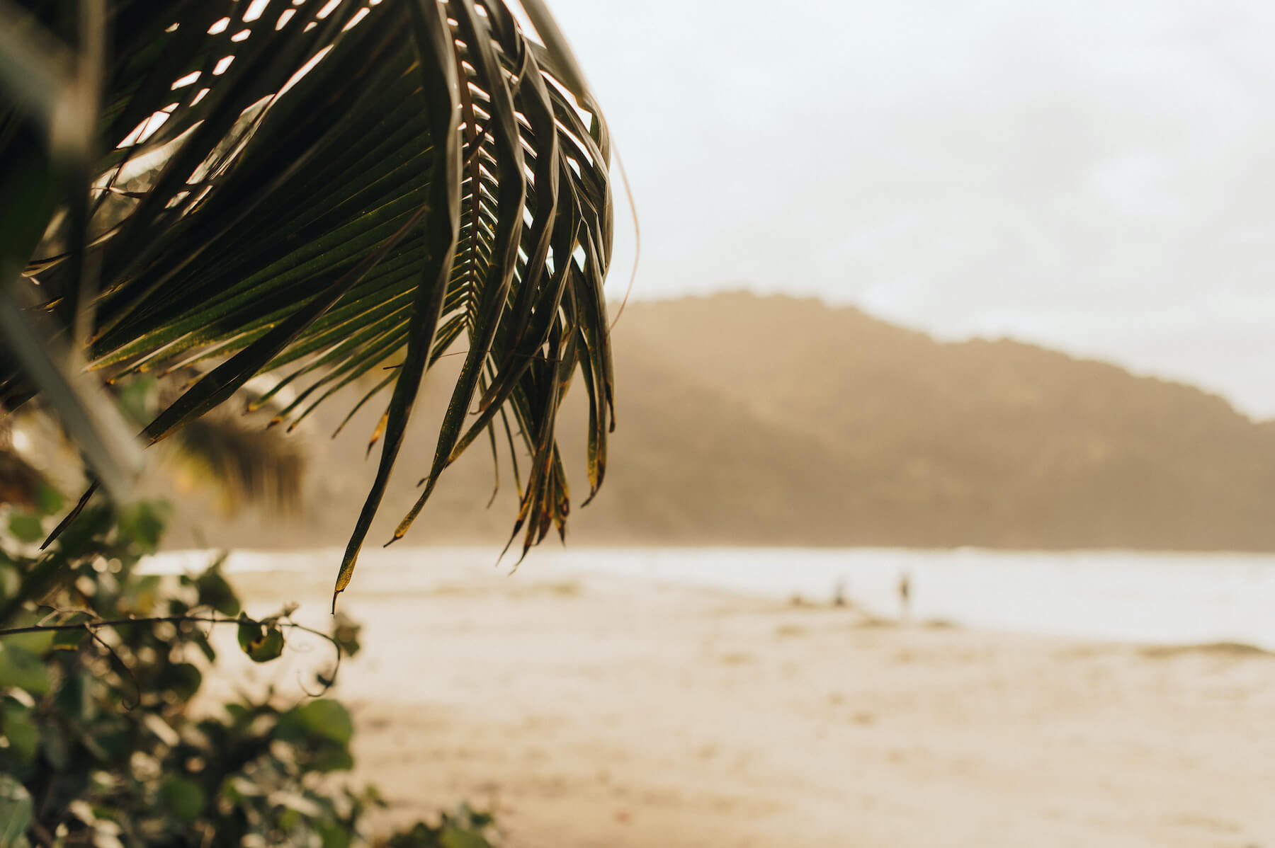 Top 5 Places to Take Photos in Port of Spain