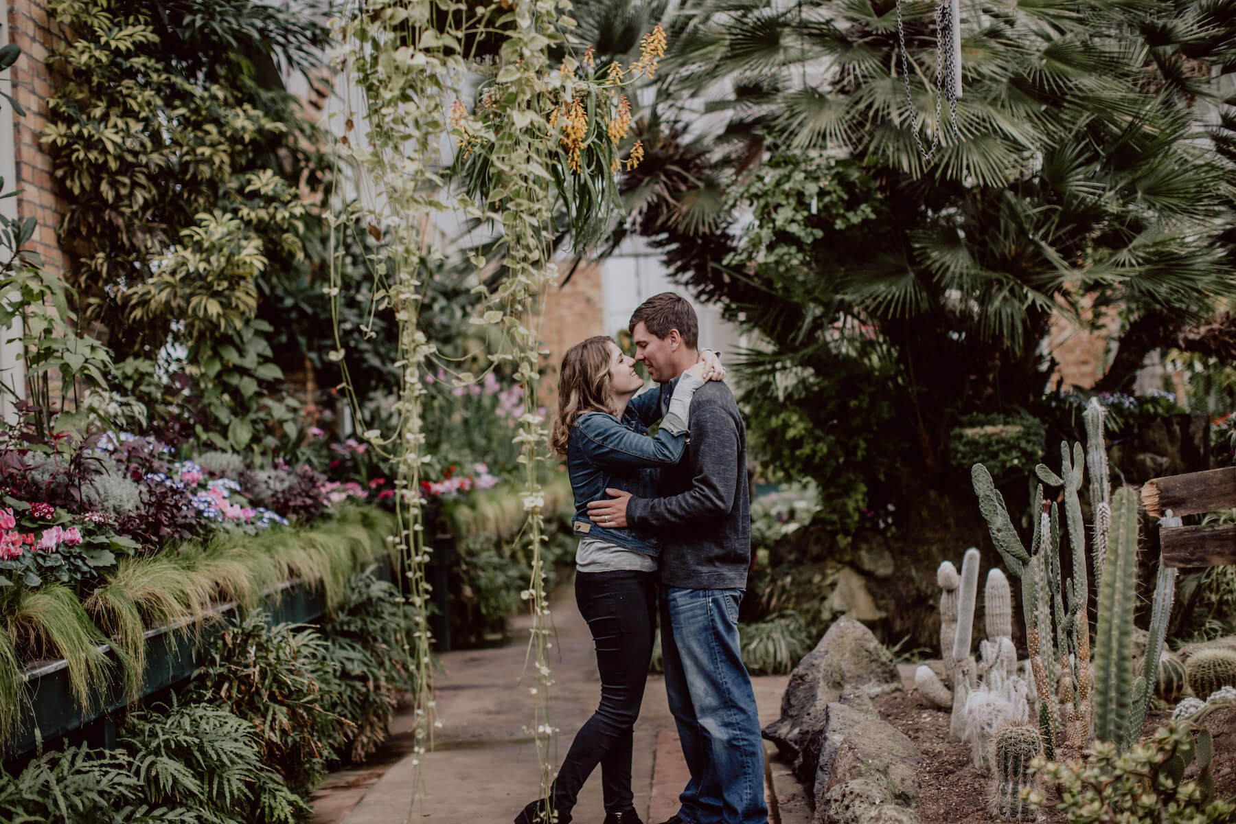 Top 5 Places to Take Photos in Auckland