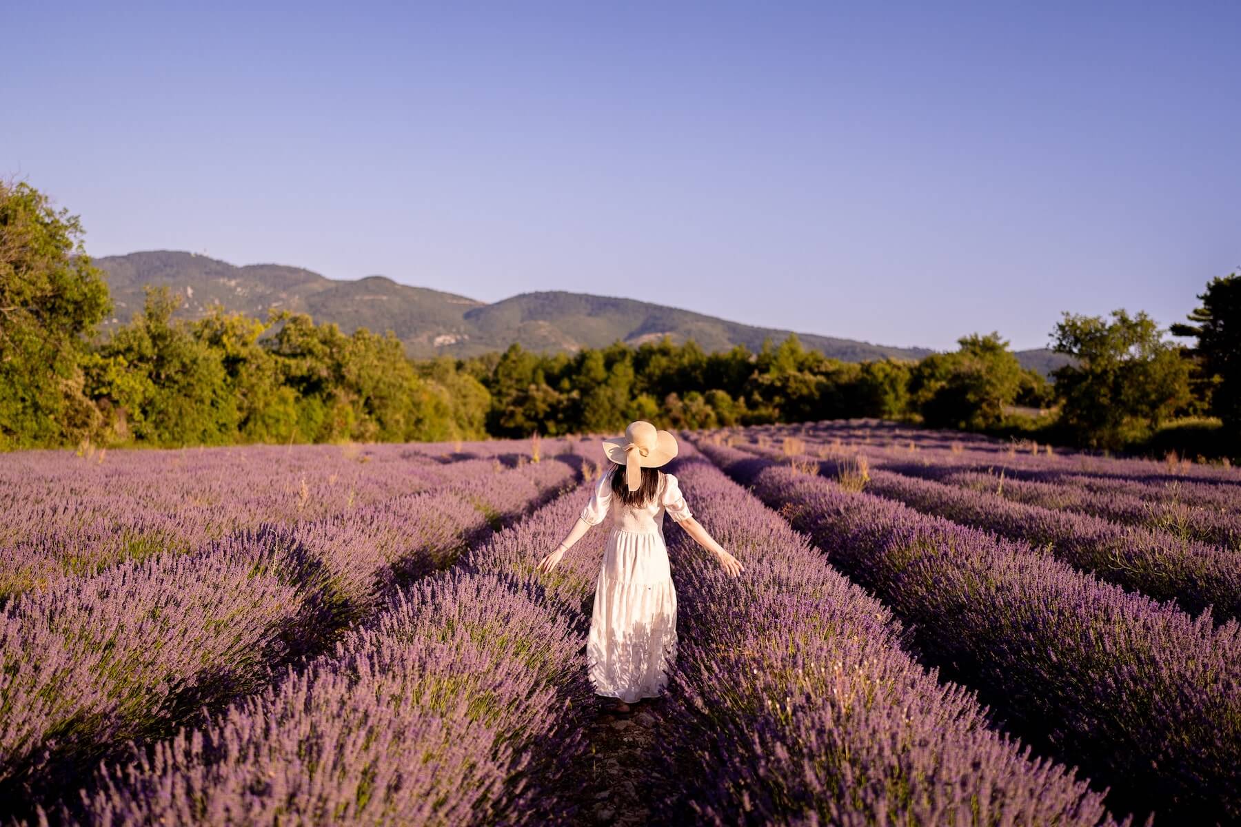 Top 5 Places to Take Photos Near Aix-en-Provence