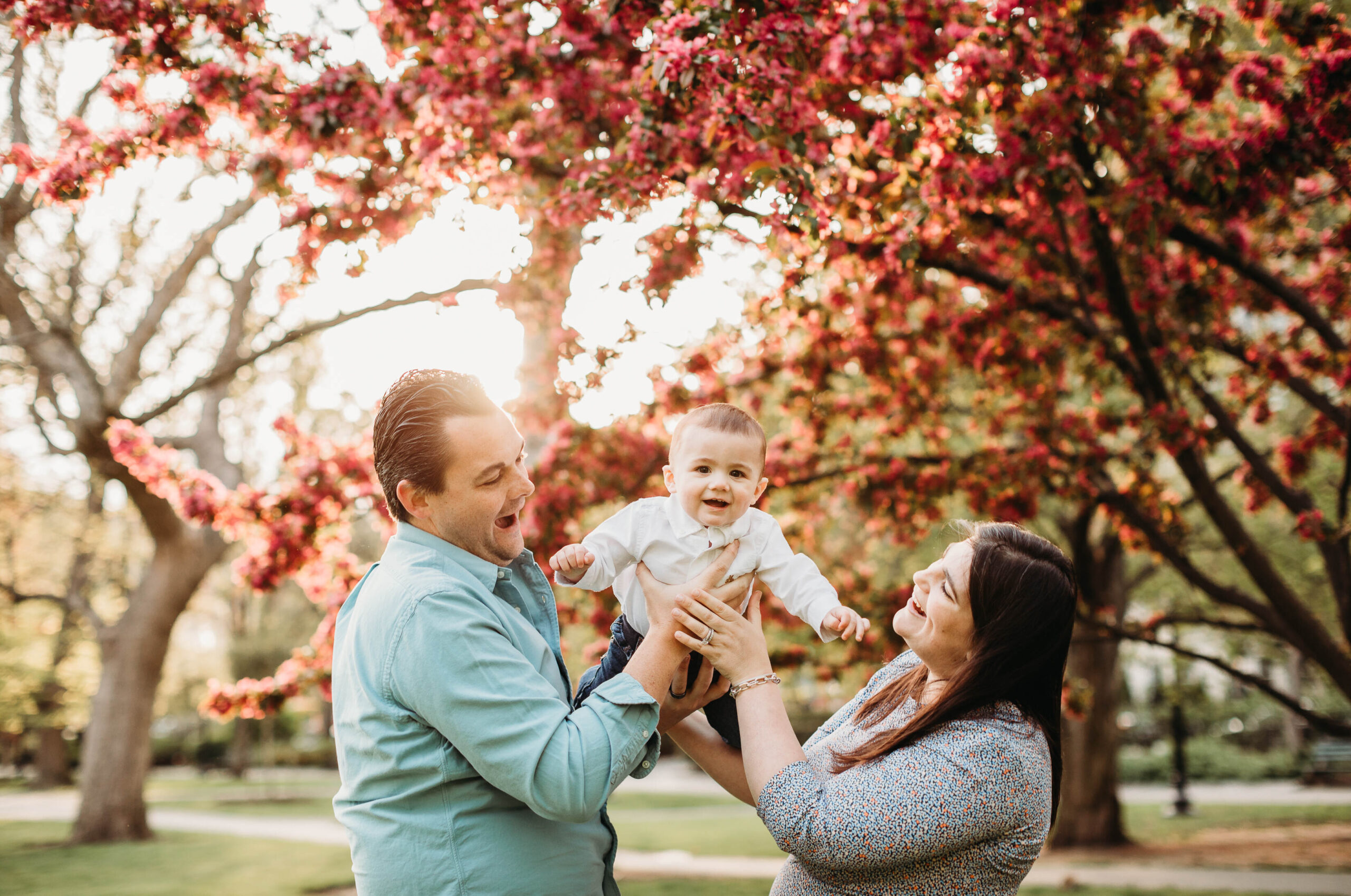 Best Places in the World to See Cherry Blossoms