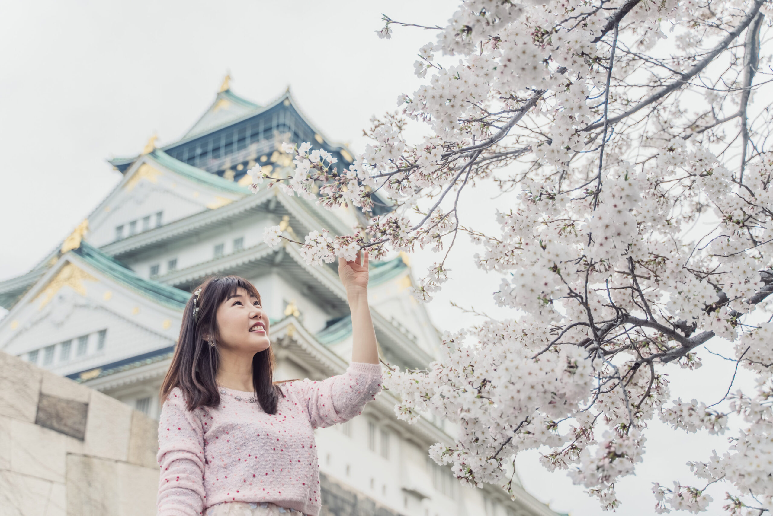 Ultimate Guide to Cherry Blossom Season in Japan