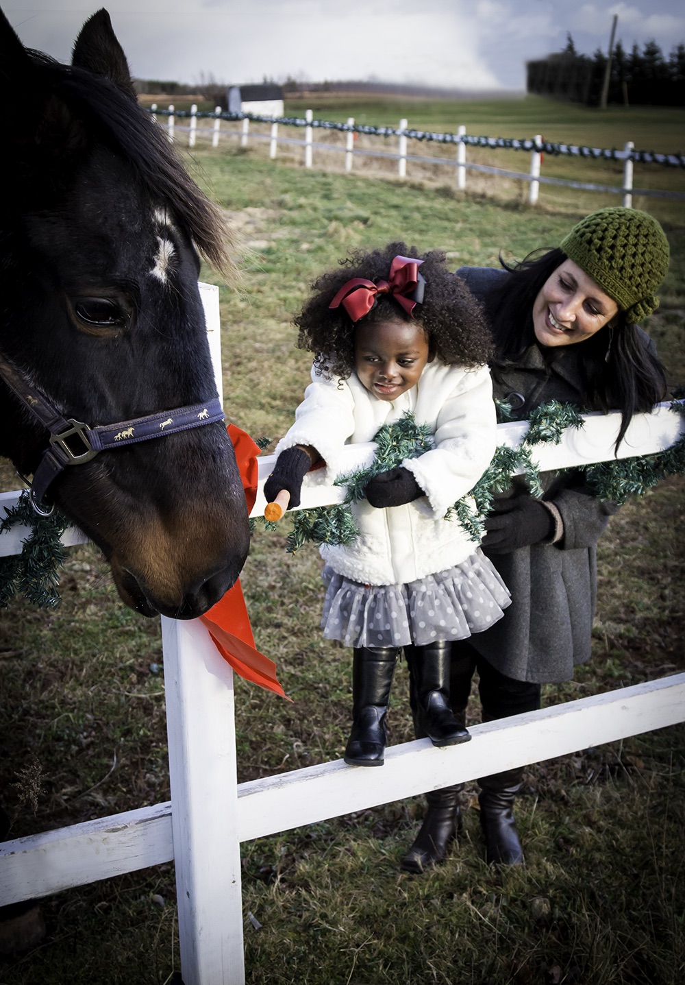 Photo: Nancy Hurry-Hogan