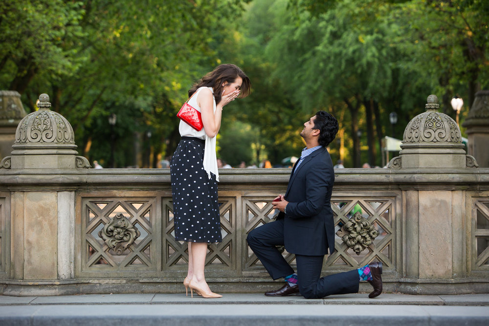 Man proposing to his female partner in Central Park, New York City, USA