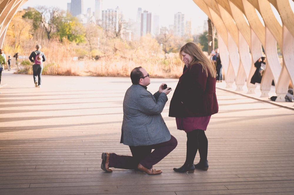 Woman surprised as her partner proposes to her on a couples trip in Chicago, USA